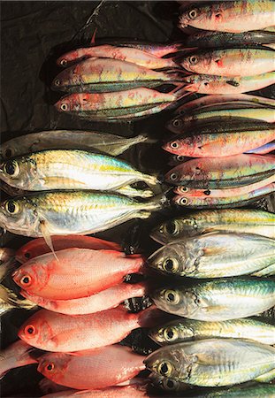 Fresh fish for sale in market Foto de stock - Sin royalties Premium, Código: 614-06624911