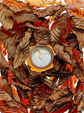 Jar of lotion in dried leaves Stock Photo - Premium Royalty-Free, Code: 614-06624976