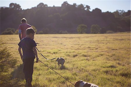 dogs in nature - Father and son walking dogs in field Stock Photo - Premium Royalty-Free, Code: 614-06625238