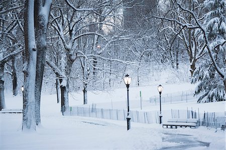 Trees in snowy urban park Photographie de stock - Premium Libres de Droits, Code: 614-06719143