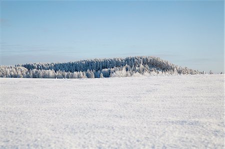 simsearch:614-06718312,k - Trees on snowy rural mountain Photographie de stock - Premium Libres de Droits, Code: 614-06719252