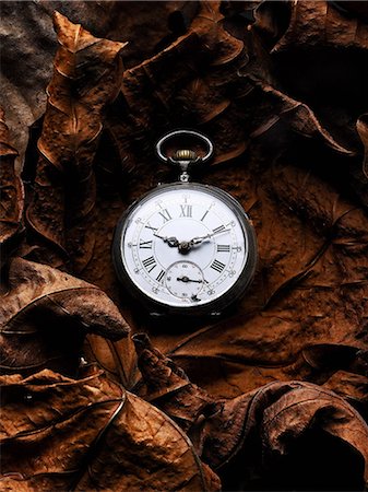 Pocket watch on autumn leaves Photographie de stock - Premium Libres de Droits, Code: 614-06813428