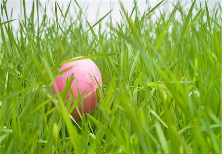 easter - Pink easter egg hiding in grass Stock Photo - Premium Royalty-Free, Code: 614-06813712