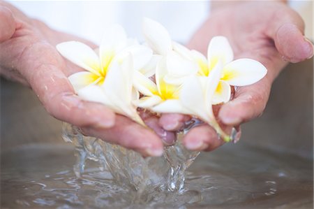 Cupped hands holding flowers Stock Photo - Premium Royalty-Free, Code: 614-06813815