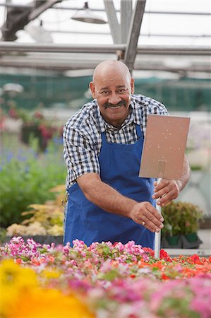 portrait man shirt shop - Mature gardener working in garden centre, smiling Stock Photo - Premium Royalty-Free, Code: 614-06896171