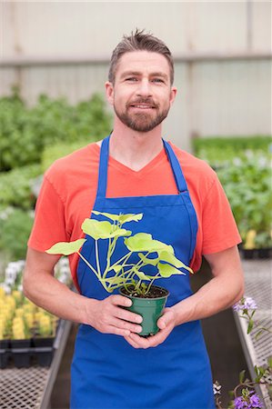sales associate (male) - Mid adult man holding plant in garden centre, portrait Stock Photo - Premium Royalty-Free, Code: 614-06896196
