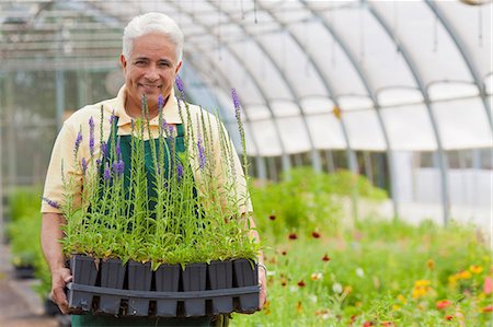 plant - Senior man holding plants in garden centre, portrait Stock Photo - Premium Royalty-Free, Code: 614-06896283