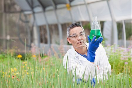 Mature scientist holding liquid in volumetric flask in greenhouse, portrait Stock Photo - Premium Royalty-Free, Code: 614-06896327