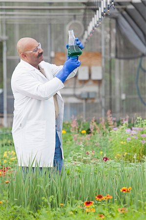 Mature scientist looking at liquid in volumetric flask in greenhouse Stock Photo - Premium Royalty-Free, Code: 614-06896331