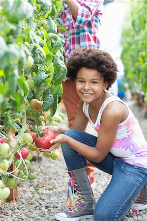 farm and boys - Children picking fresh tomatoes Stock Photo - Premium Royalty-Free, Code: 614-06974015