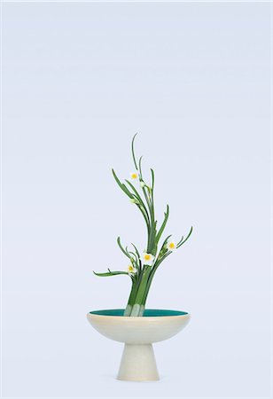 design (motif, artistic composition or finished product) - Stylised daffodil blooms and leafs in bowl Stock Photo - Premium Royalty-Free, Code: 614-06974746