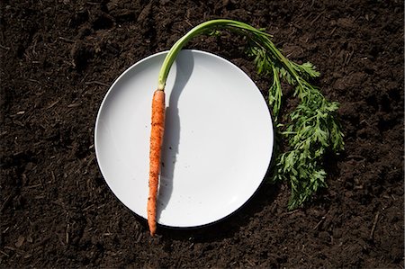 simsearch:614-07194719,k - Carrot on plate laid on soil Foto de stock - Sin royalties Premium, Código: 614-07194724