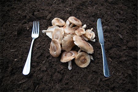 simsearch:614-07194719,k - Knife and fork with mushrooms laid on soil Foto de stock - Sin royalties Premium, Código: 614-07194721
