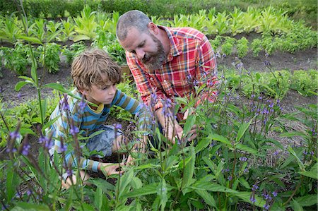 people and health - Mature man and son discovering plants on herb farm Stock Photo - Premium Royalty-Free, Code: 614-07194757