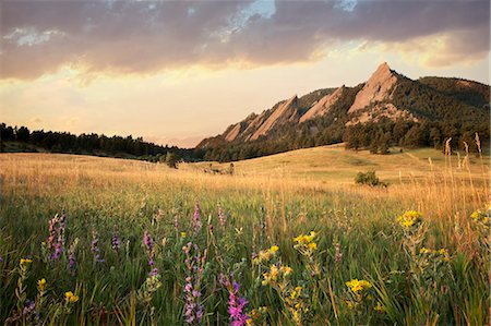 Scenic view of meadow and mountains, Boulder, Colorado, USA Stock Photo - Premium Royalty-Free, Code: 614-07444368