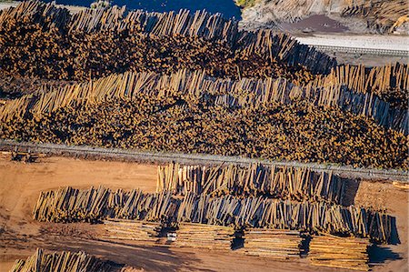 simsearch:630-06723923,k - Aerial view of stacks of logged tree trunks in timber yard Stock Photo - Premium Royalty-Free, Code: 614-08120016