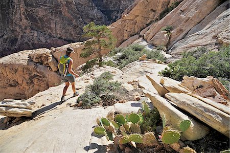 simsearch:614-07240106,k - Young female hiker hiking on rocks, Mount Wilson, Nevada, USA Stock Photo - Premium Royalty-Free, Code: 614-08148726
