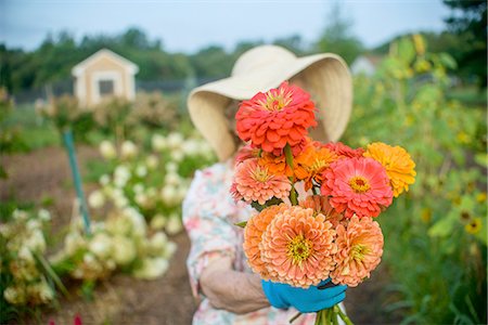 Senior woman holding flowers in front of face on farm Stock Photo - Premium Royalty-Free, Code: 614-08307646