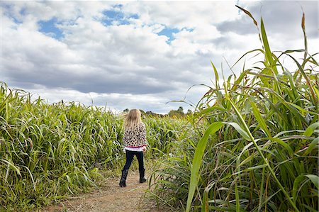 Girl walking in cornfield Stock Photo - Premium Royalty-Free, Code: 614-08487751