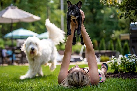 Woman lying on grass holding French Bulldog in air, Goldendoodle running in background Stock Photo - Premium Royalty-Free, Code: 614-08827098