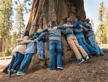 simsearch:649-07648247,k - Group of people linking arms around tree, rear view, Sequoia National Park, California, USA Stock Photo - Premium Royalty-Free, Code: 614-08827164