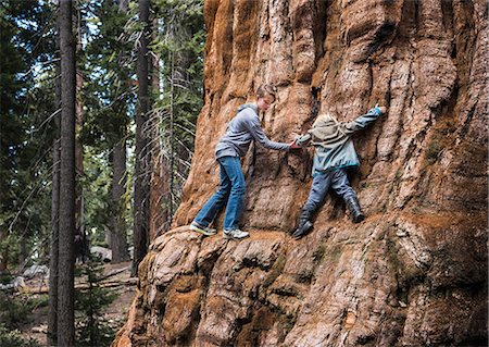 simsearch:649-07239584,k - Two children climbing around tree, Sequoia National Park, California, USA Stock Photo - Premium Royalty-Free, Code: 614-08827162