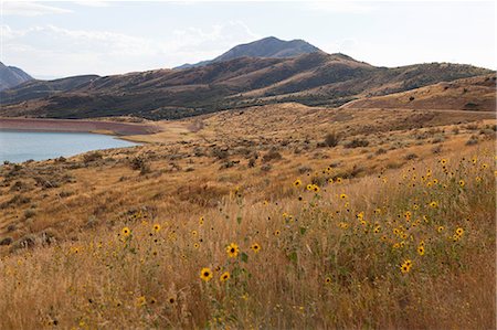 salt lake city - Little Dell Reservoir, Salt Lake City, Utah, USA Stock Photo - Premium Royalty-Free, Code: 614-08821104