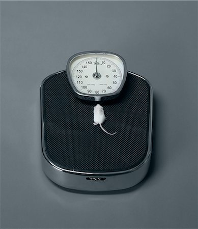 Mouse sitting on scales Stock Photo - Premium Royalty-Free, Code: 614-08865912