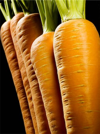 simsearch:400-06864386,k - A cropped shot of a line of carrots Stock Photo - Premium Royalty-Free, Code: 614-08867153