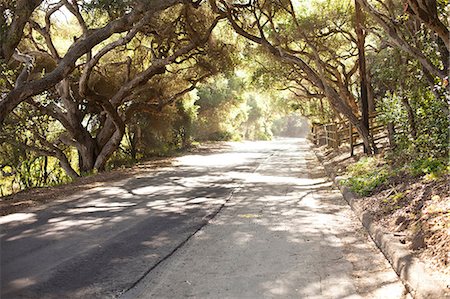 simsearch:614-05955565,k - Country road with oak trees in Santa Barbara, California, USA Photographie de stock - Premium Libres de Droits, Code: 614-08874061