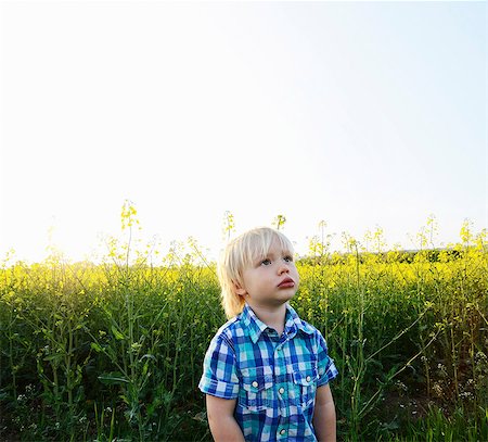 simsearch:614-06043612,k - Boy standing in field and looking up Stock Photo - Premium Royalty-Free, Code: 614-08875310