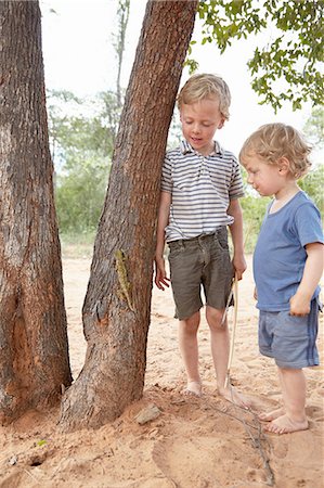 Two young boys watching chameleon climb tree Stock Photo - Premium Royalty-Free, Code: 614-08877484