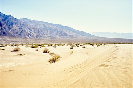 simsearch:700-03891190,k - Landscape view of Mesquite Dunes, Death Valley, California, USA Stock Photo - Premium Royalty-Free, Code: 614-08877549