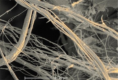 scanning electron micrograph - Scanning Electron micrograph of  asbestos, 1500x Stock Photo - Premium Royalty-Free, Code: 614-08870052