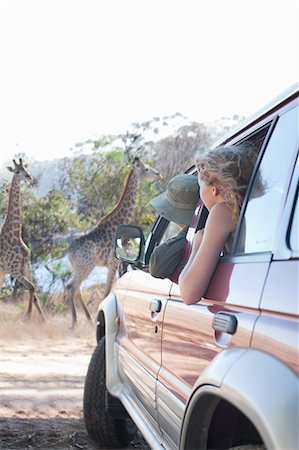 simsearch:6108-06906290,k - Women looking at giraffes from vehicle, Stellenbosch, South Africa Stock Photo - Premium Royalty-Free, Code: 614-08871535