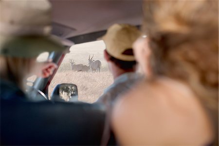 simsearch:6108-06906290,k - People looking at wildlife through vehicle window, Stellenbosch, South Africa Stock Photo - Premium Royalty-Free, Code: 614-08871537