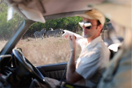 Guide pointing out zebras, Stellenbosch, South Africa Stock Photo - Premium Royalty-Free, Code: 614-08871540