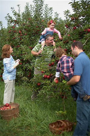 family apple orchard - Family picking apples in orchard Photographie de stock - Premium Libres de Droits, Code: 614-08872438