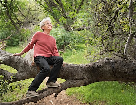 simsearch:614-09078761,k - Senior woman sitting on tree trunk, Sequoia National Park, California, US Stock Photo - Premium Royalty-Free, Code: 614-08982835