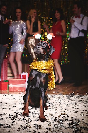 Portrait of dog at party wearing santa deely boppers, group of people dancing in background Stock Photo - Premium Royalty-Free, Code: 614-08983329