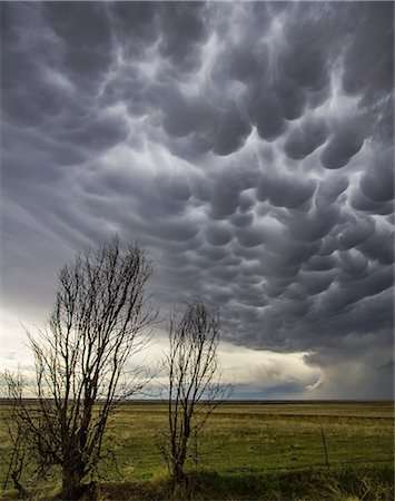 Mammatus clouds in rural area, Last Chance, Colorado, United States, North America Stock Photo - Premium Royalty-Free, Code: 614-08983676