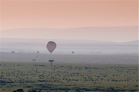 simsearch:841-03673537,k - Balloon safari over Wildebeest migration, Masai Mara National Reserve, Kenya Photographie de stock - Premium Libres de Droits, Code: 614-08990654