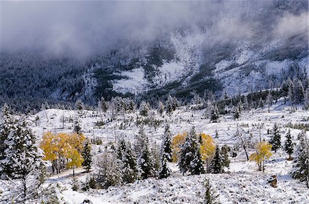 Yellowstone National Park, Wyoming, USA Stock Photo - Premium Royalty-Free, Code: 614-09017859