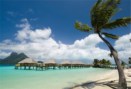 simsearch:700-03440200,k - Palm trees and beach resort stilt houses, Bora Bora, French Polynesia Photographie de stock - Premium Libres de Droits, Code: 614-09017873