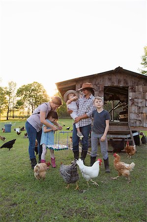 Family on farm, surrounded by chickens, mother and daughter holding tray of fresh eggs Stock Photo - Premium Royalty-Free, Code: 614-09026944