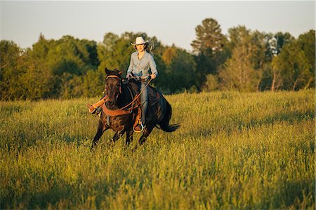 Young woman riding horse in field Stock Photo - Premium Royalty-Free, Code: 614-09110724