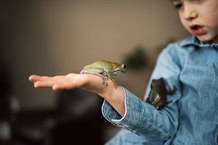 frog - Girl with pet frogs Stock Photo - Premium Royalty-Free, Code: 614-09178507