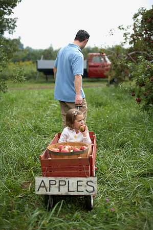 family apple orchard - Father pulling wooden cart with daughter and apples Stock Photo - Premium Royalty-Free, Code: 614-09209980
