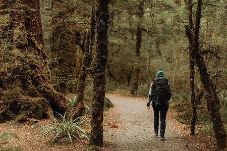 simsearch:649-08086253,k - Hiker exploring forest, Queenstown, Canterbury, New Zealand Stock Photo - Premium Royalty-Free, Code: 614-09259244