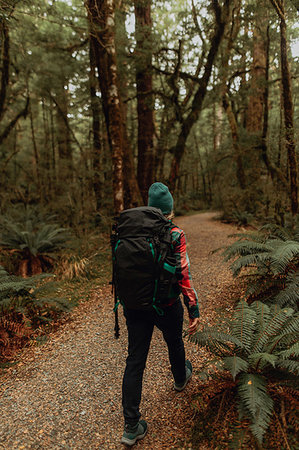 simsearch:649-08086253,k - Hiker exploring forest, Queenstown, Canterbury, New Zealand Stock Photo - Premium Royalty-Free, Code: 614-09259260